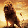 Dreww.r's profile image