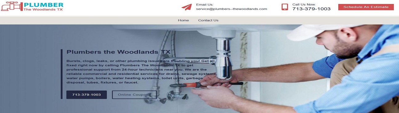Plumbers the Woodlands TX's cover image
