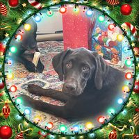 Becky Franke Haraldson's profile image