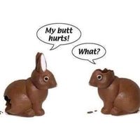 Jane Pach's profile image