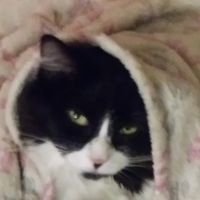 Doris E Mohn's profile image