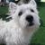 Terry Croom Oxendine's profile image