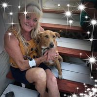 Terri Engen-Stewart's profile image