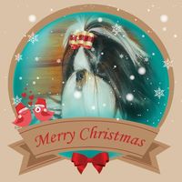 Connie Bailey's profile image