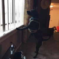 Fran Ruff's profile image