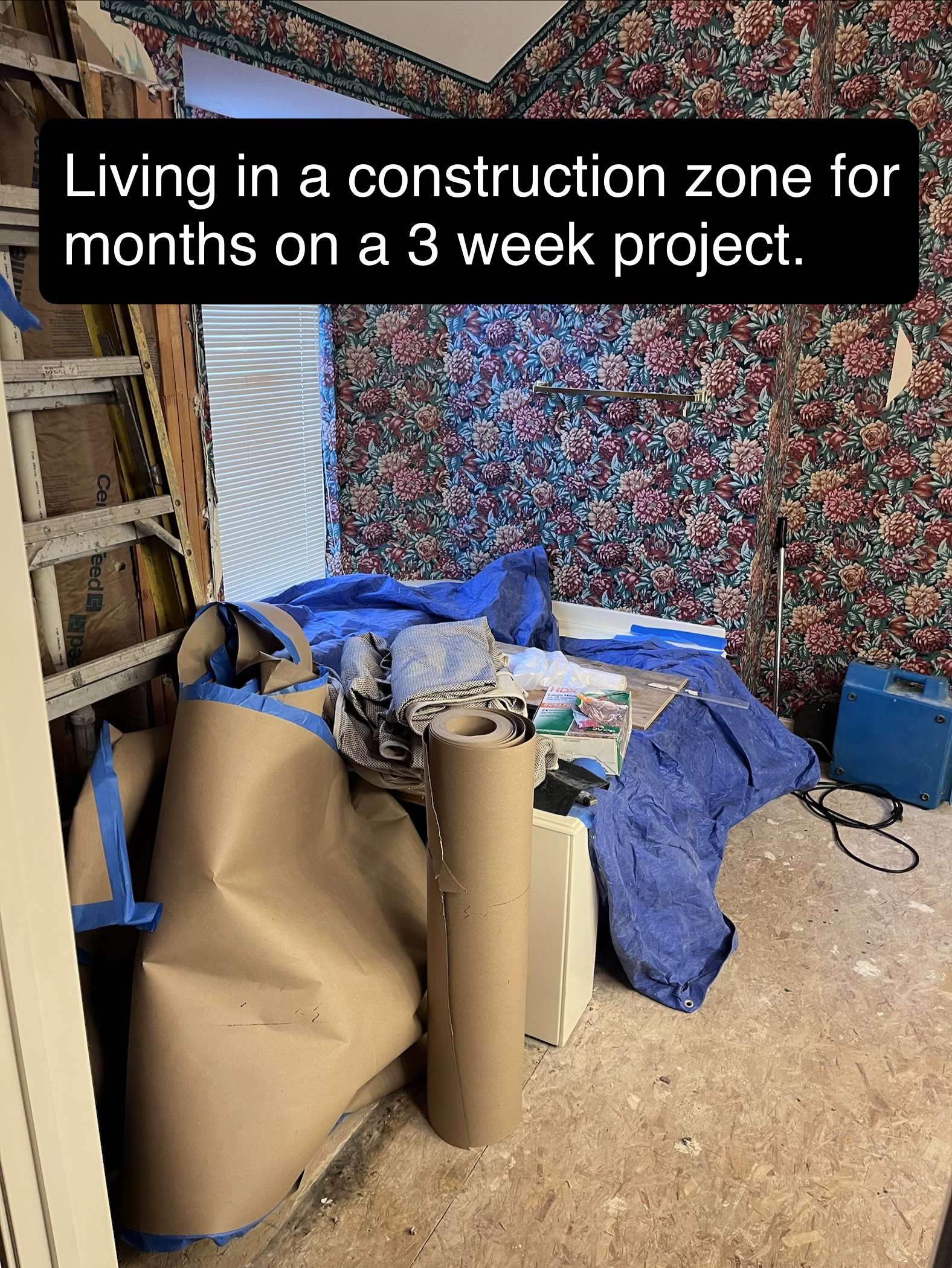 Mark J.'s post 1