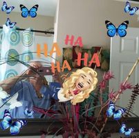 Mica Stevens's profile image