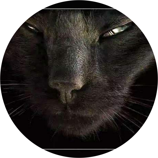 AO Life Insurance Agent of Honolulu, Hawaii American Life