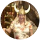 Bettina Walls's Profile Image