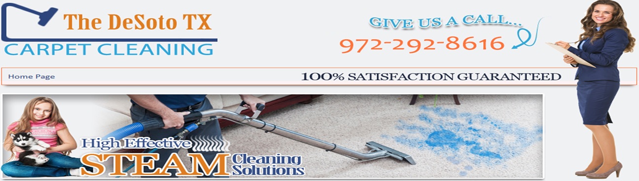 DeSoto Carpet Cleaner's cover image