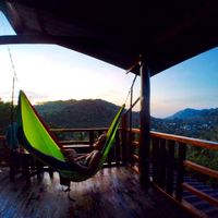 Miles Harris Nallia's profile image