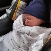 Sheri Crow Wood's profile image