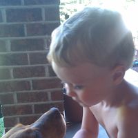 Julie Dobbs's profile image