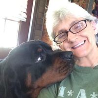 Sue West's profile image