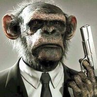 Samuel A Conley's profile image