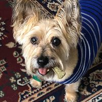 Susan Hagen's profile image