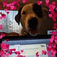 Michele Christian Baker's profile image