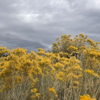 Paula Lampman's profile image