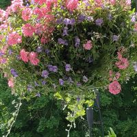 Pat Mader's profile image