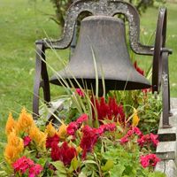 Denise Drury Miles's profile image