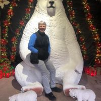 Nancy Quarcelino's profile image