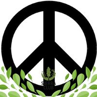 Lisa Cantwell's profile image