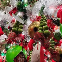 Wyatt Bridges's profile image