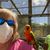 Julie Goldfarb's profile image