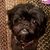 Julie Sanner's profile image