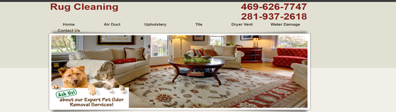Rug Cleaner in Atascocita's cover image