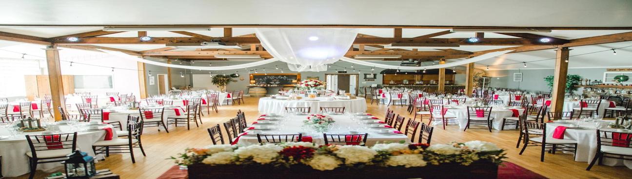 BeDazzle My Events - Event Rentals - Luxury Events's cover image