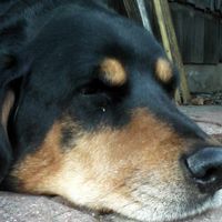 Skip Eick's profile image