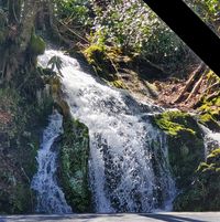 Ginger D. Leroux-Hough's profile image