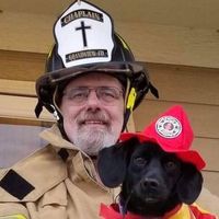Jeff Fairlie's profile image
