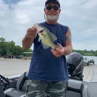 Tim Hamilton's profile image