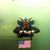 Scott Selkey's profile image