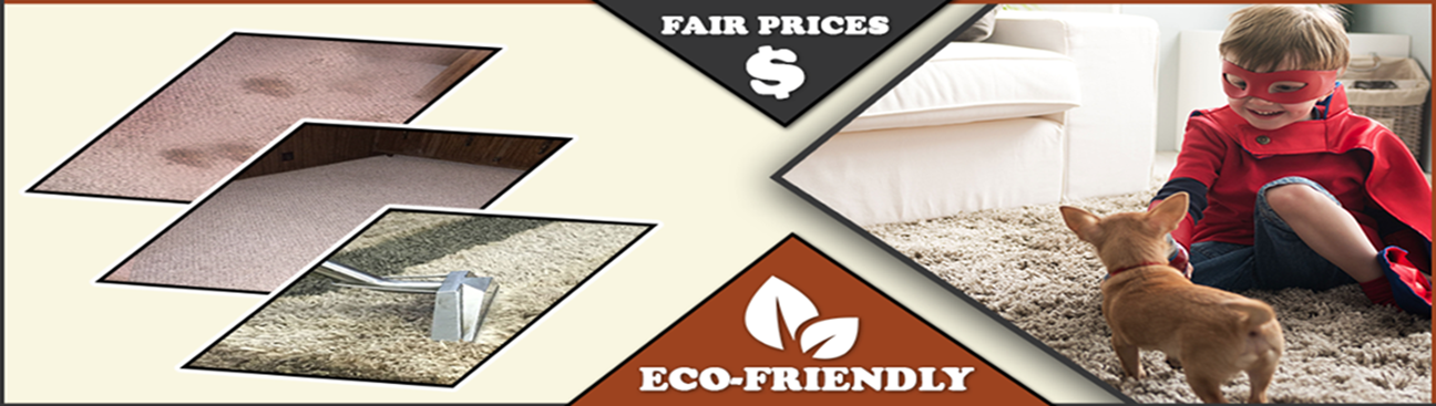 Sunnyvale TX Carpet Cleaning's cover image