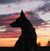 Lori Johnson Perry's profile image