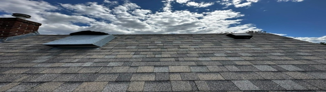 Nordicraft Construction & Roofing's cover image