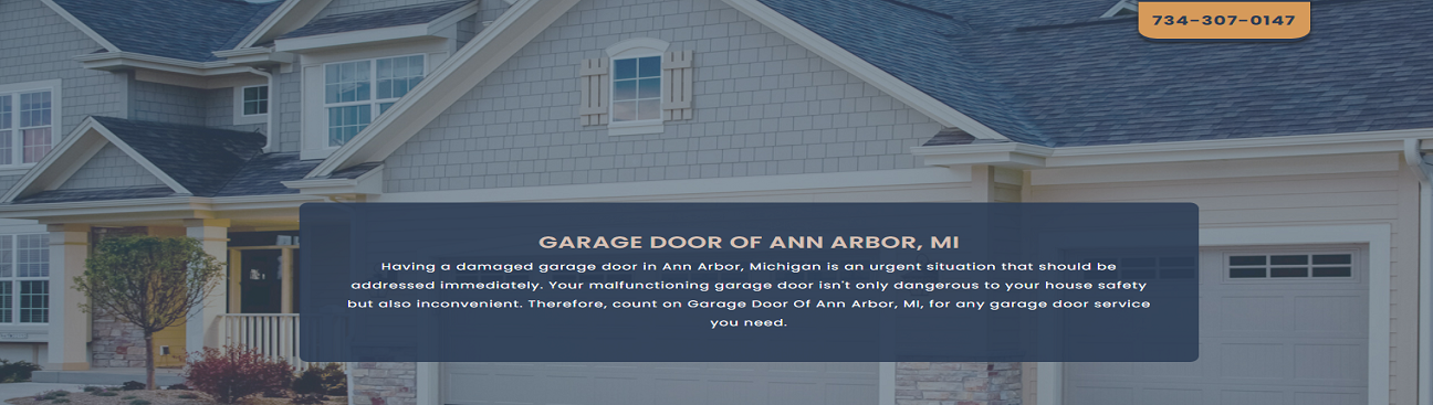 Garage Door of Ann Arbor's cover image