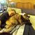 Iris Franklin Ducey's profile image