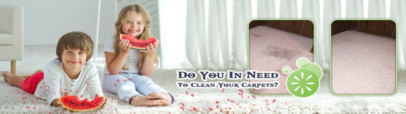 The Rowlett Carpet Cleaning's cover image