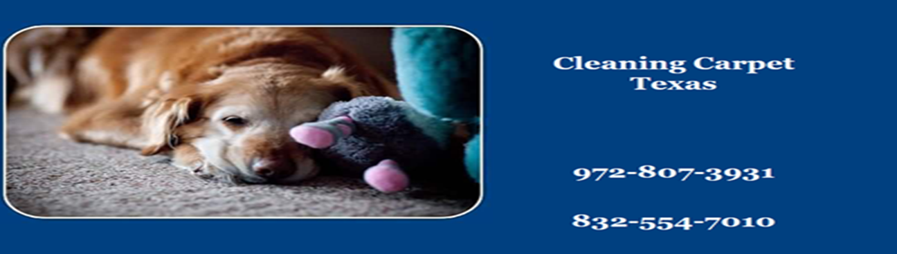 Cleaning Carpet Pearland TX's cover image