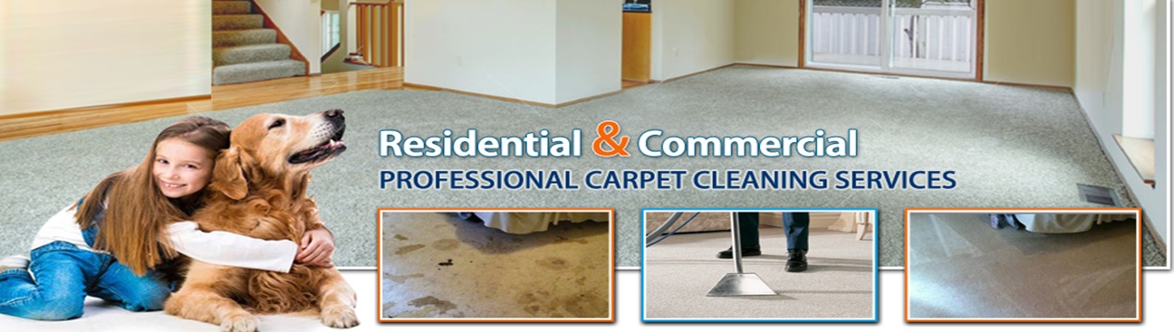 The Colony Carpet Cleaning's cover image