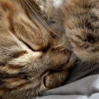 Mindy J. K. Woodruff's profile image