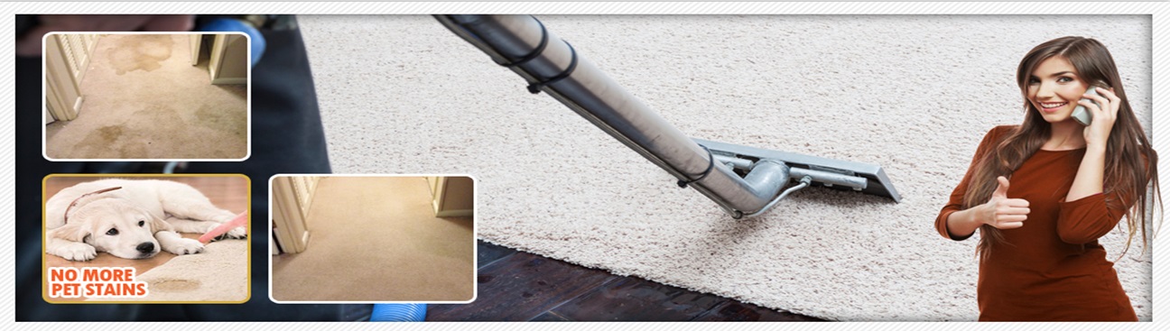 Carpet Cleaning DeSoto Texas's cover image