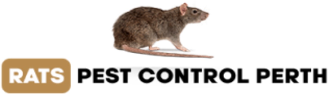 Rats Pest Control Perth's cover image
