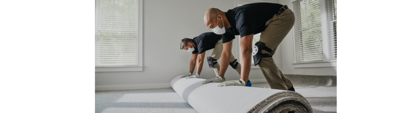 THE CARPET MAN's cover image
