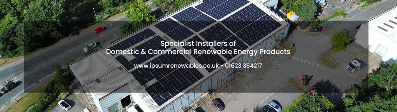 Ipsum Renewables's cover image