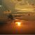 Karen Sue Timmermann's profile image